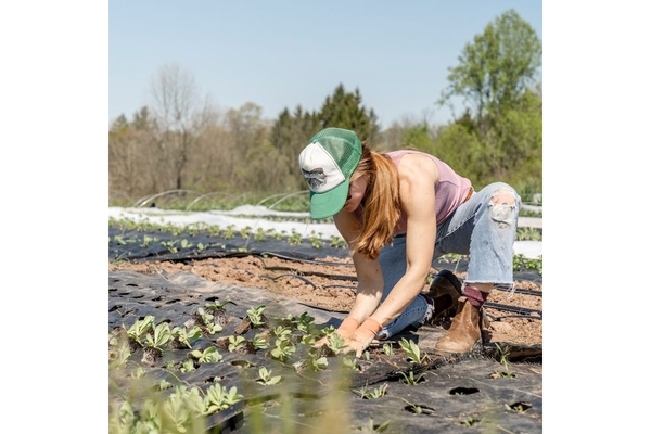 Woman farming on field for sustainable start-up
